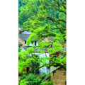 高清风景2406