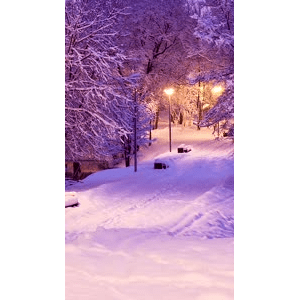 高清风景2409