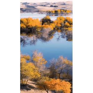 高清风景2417