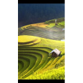 高清风景2420