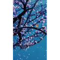 高清风景2421