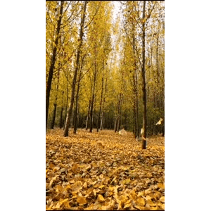 高清风景2425