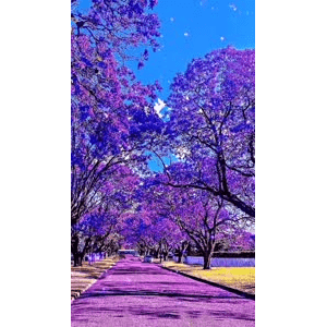 高清风景2427