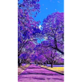 高清风景2427