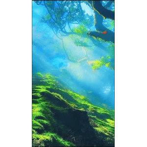 高清风景2433