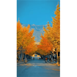 高清风景2436