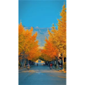 高清风景2436