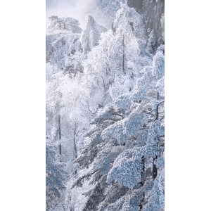 高清风景2441
