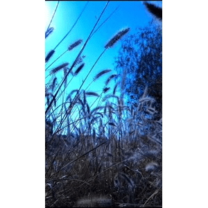 高清风景2443