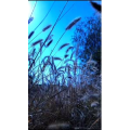 高清风景2443