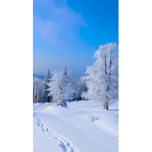 高清风景2455