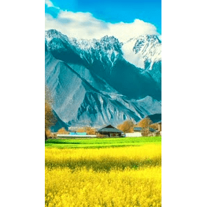 高清风景2459