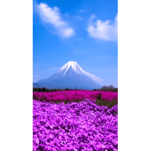 高清风景2474