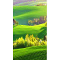 高清风景2475