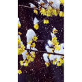 高清风景2477