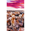 高清风景2483