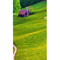 高清风景2485