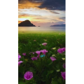 高清风景2487