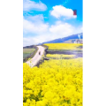 高清风景2493