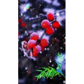 高清风景2512