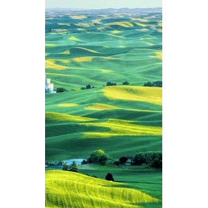 高清风景2519