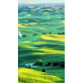 高清风景2519