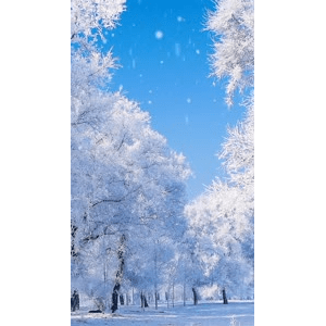 高清风景2525
