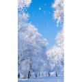 高清风景2525