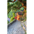 高清风景2529