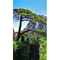 高清风景2531