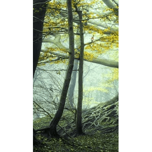 高清风景2532