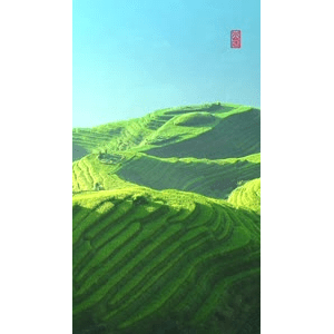 高清风景2539