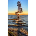 高清风景2546