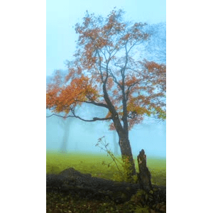 高清风景2548