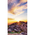 高清风景2549