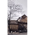 高清风景2554
