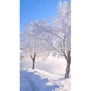 高清风景2555