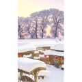 高清风景2575