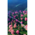 高清风景2582