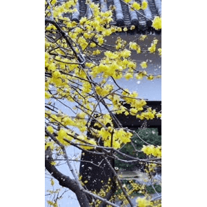 高清风景2586
