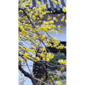 高清风景2586