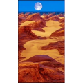 高清风景2595