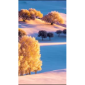 高清风景2598