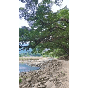 高清风景2602