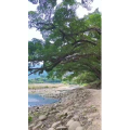 高清风景2602