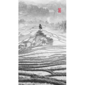 高清风景2604