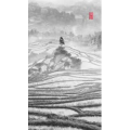 高清风景2604