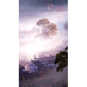 高清风景2612