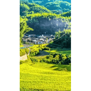 高清风景2626