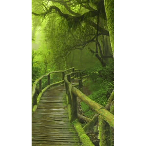 高清风景2634
